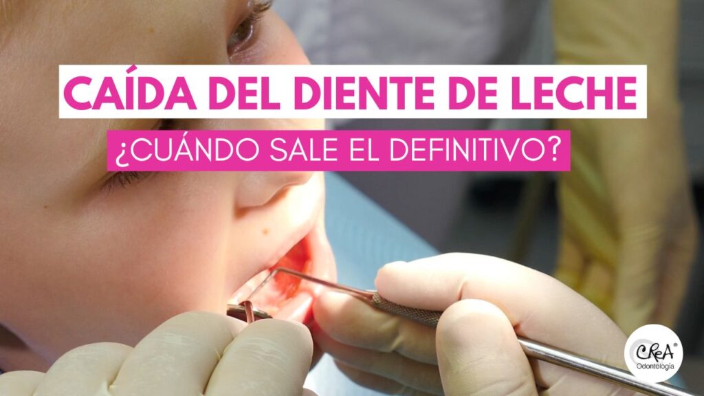 Caída del diente de leche ¿cuándo sale el definitivo?